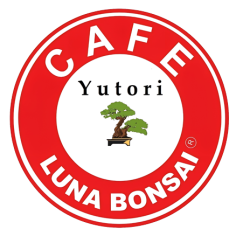 logocafe